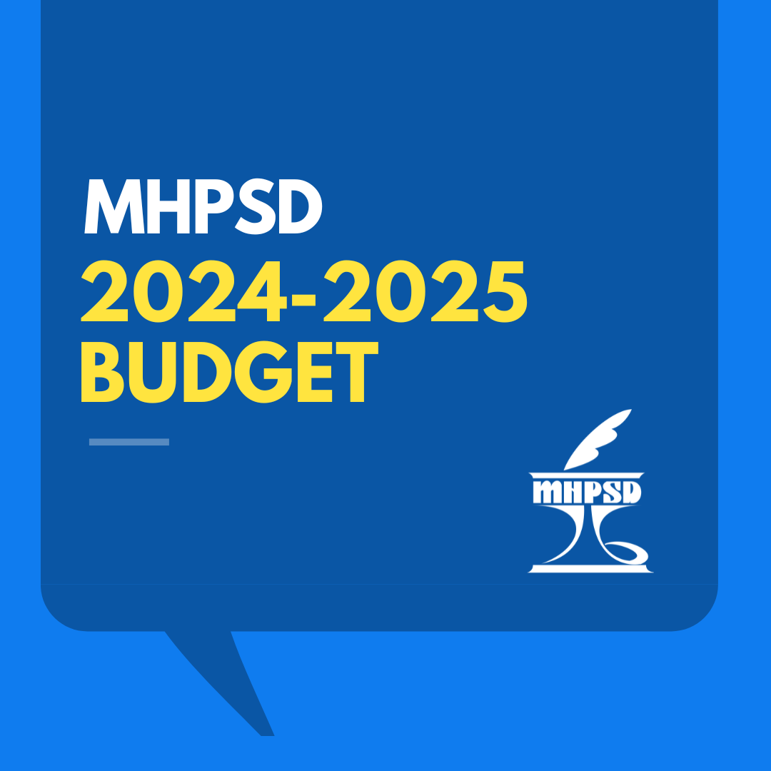 20242025 MHPSD Budget Medicine Hat High School